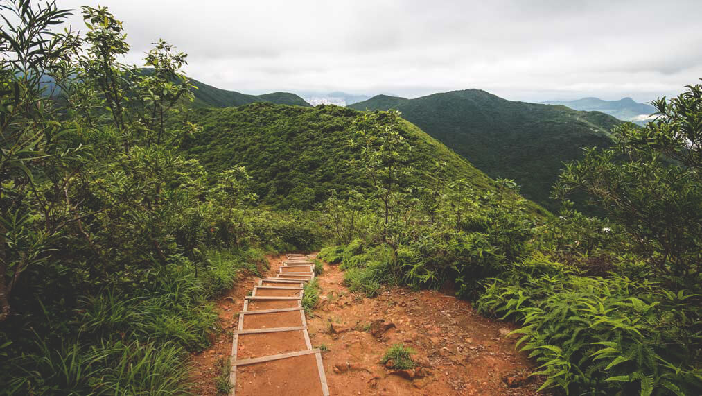 highlights-in-hongkong-dragons-back-trekking