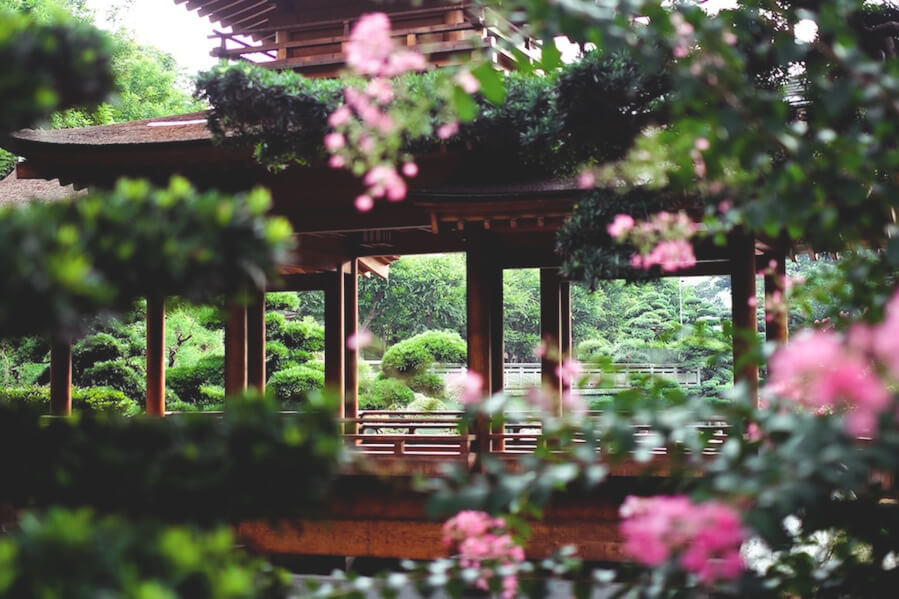 highlights-in-hongkong-nin-lian-garden