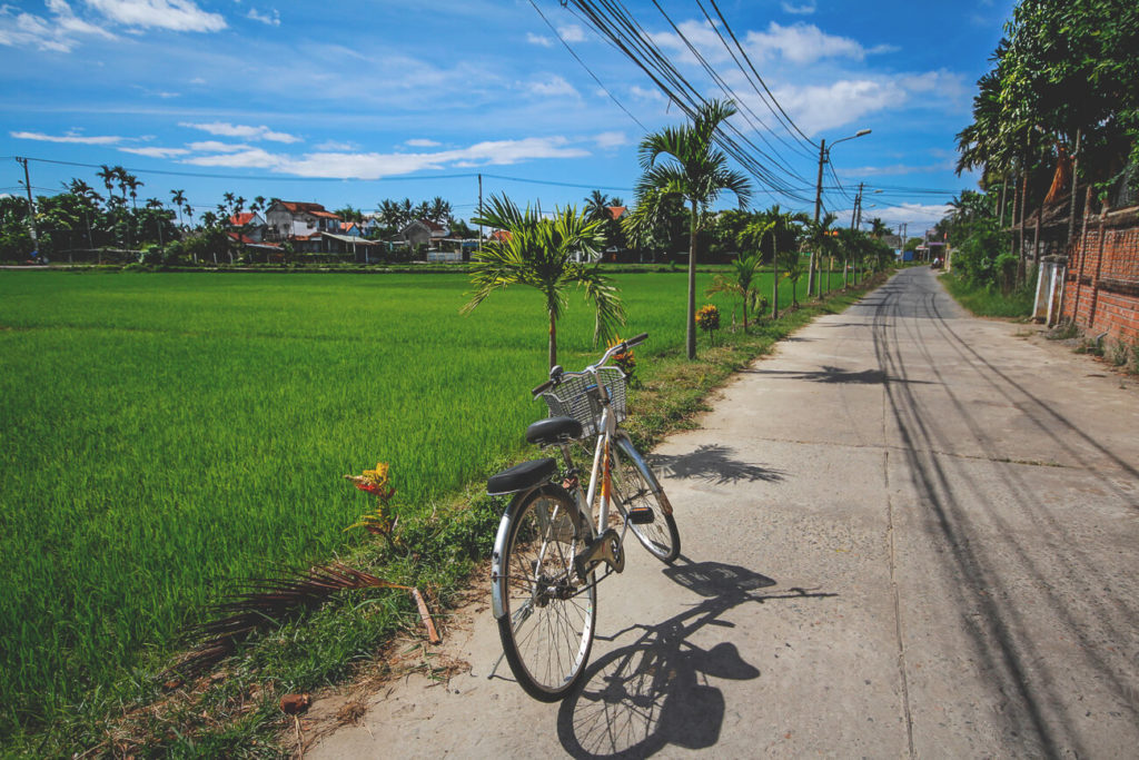 Hoi An in Vietnam Bicycle Rice Fields