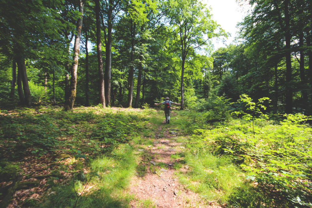 hunsrueck-hochwald-tour-saarland