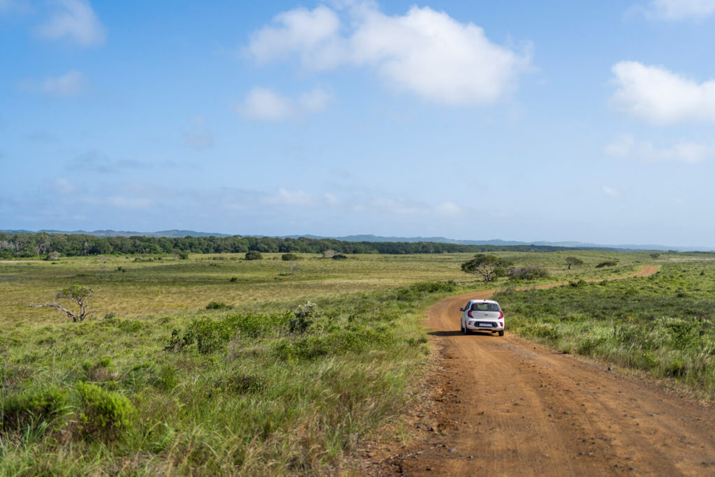 Парк водно-болотних угідь iSimangaliso