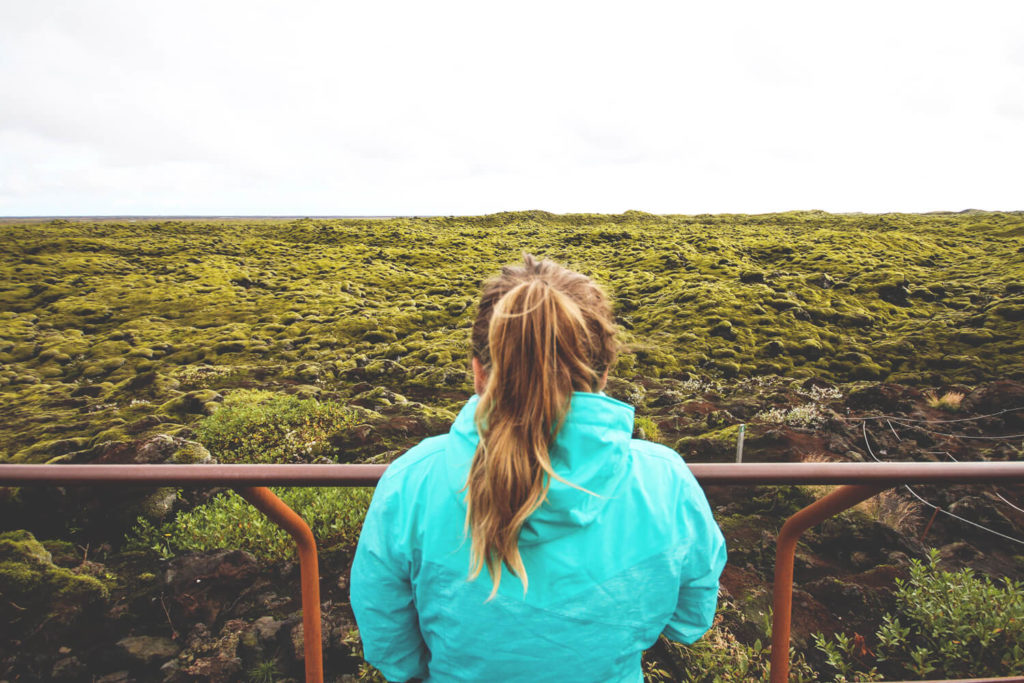 island-rundreise-lavafeld-moos-suedosten
