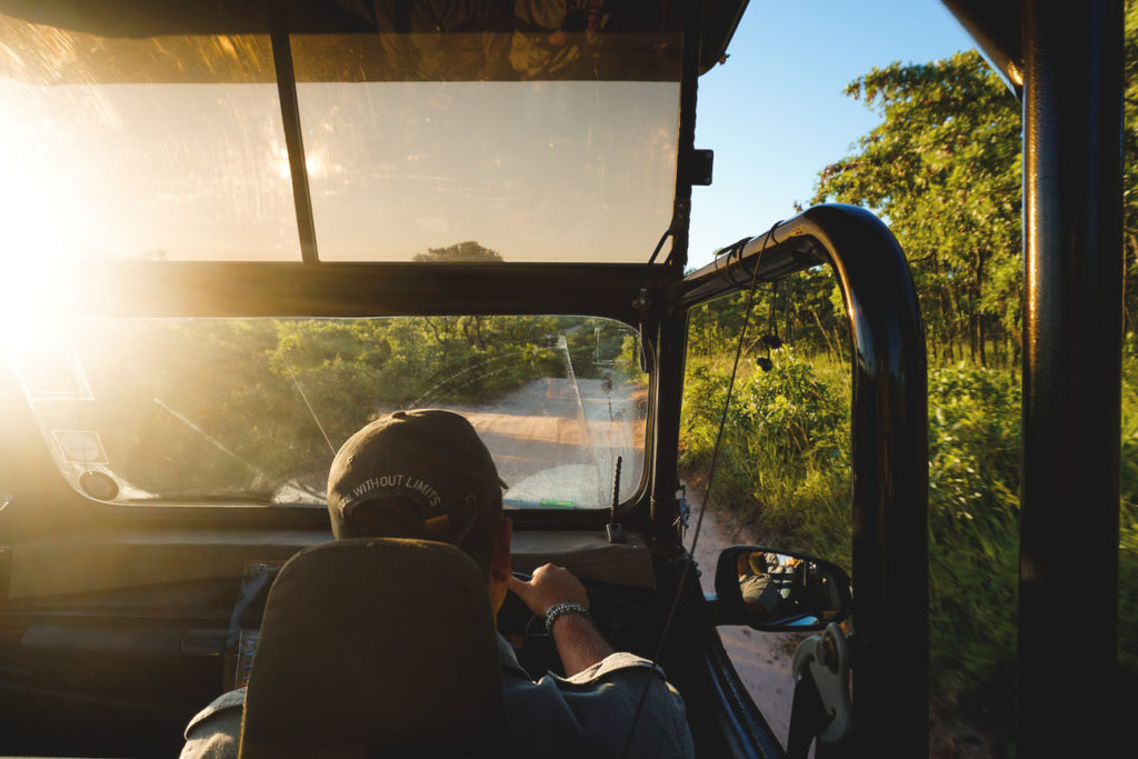 krueger-nationalpark-suedafrika-jeep-game-drive