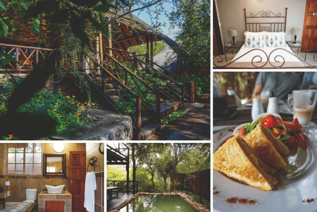 krueger-nationalpark-suedafrika-la-kruger-lifestyle-lodge