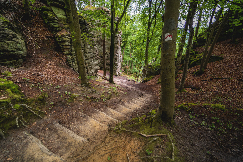 Luxemburg Müllerthal Hike