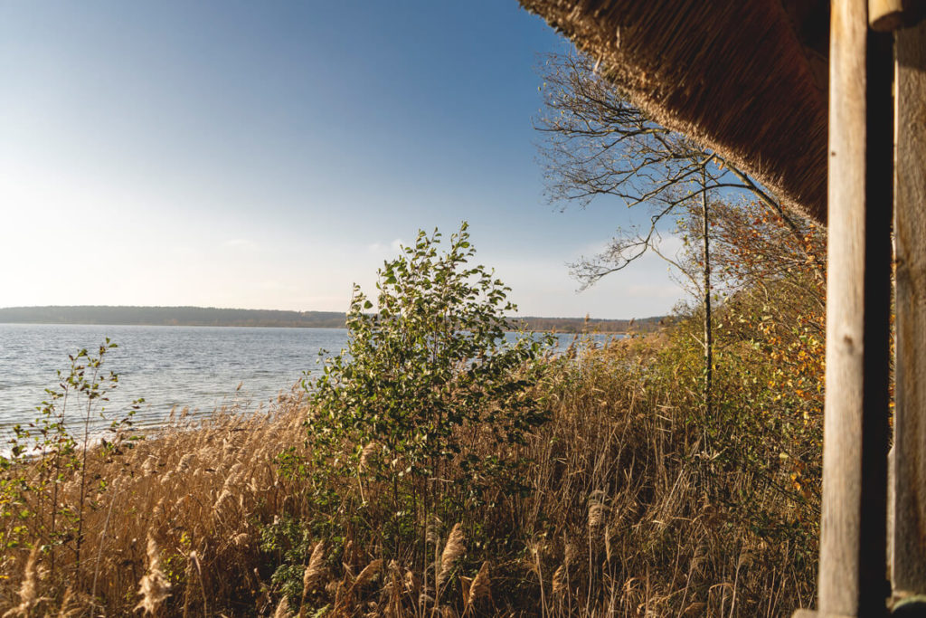 mueritz-nationalpark-rederangsee-beobachtungsstand