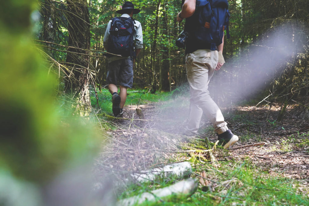 nationalpark-hunsrueck-hochwald-saarland-ranger