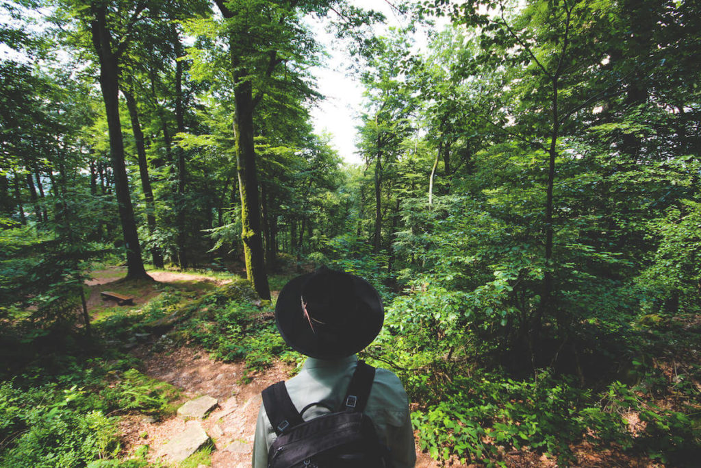nationalpark-hunsrueck-hochwald-saarland-wald-ranger-1
