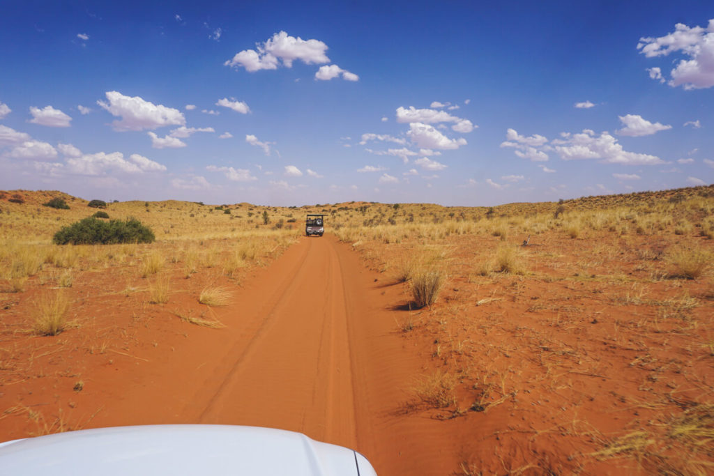 !Xaus Lodge in South Africa Arrival
