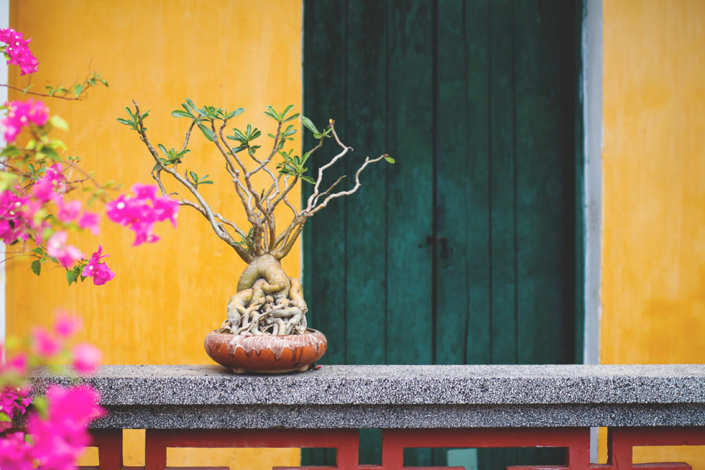 Old Town in Hoi An