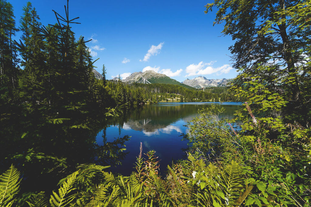 panoramaweg-strbske-pleso-bergsee-slowakei (1)