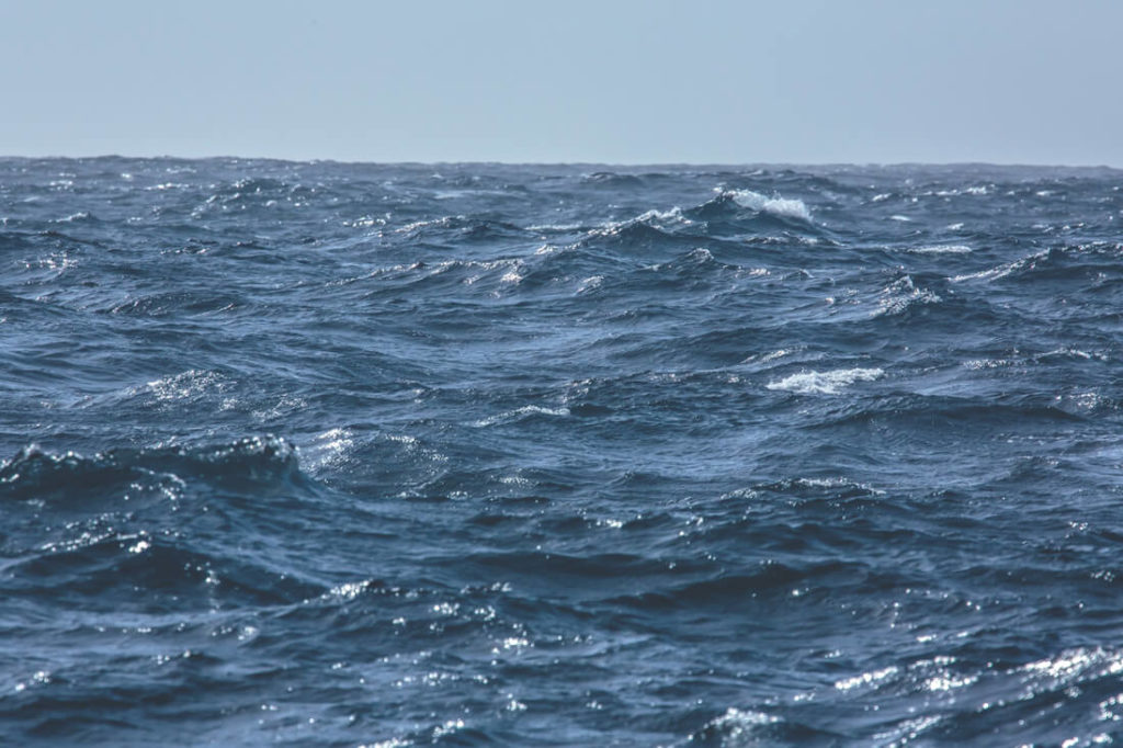 reise-in-die-antarktis-drake-passage-wellen-1 (1)