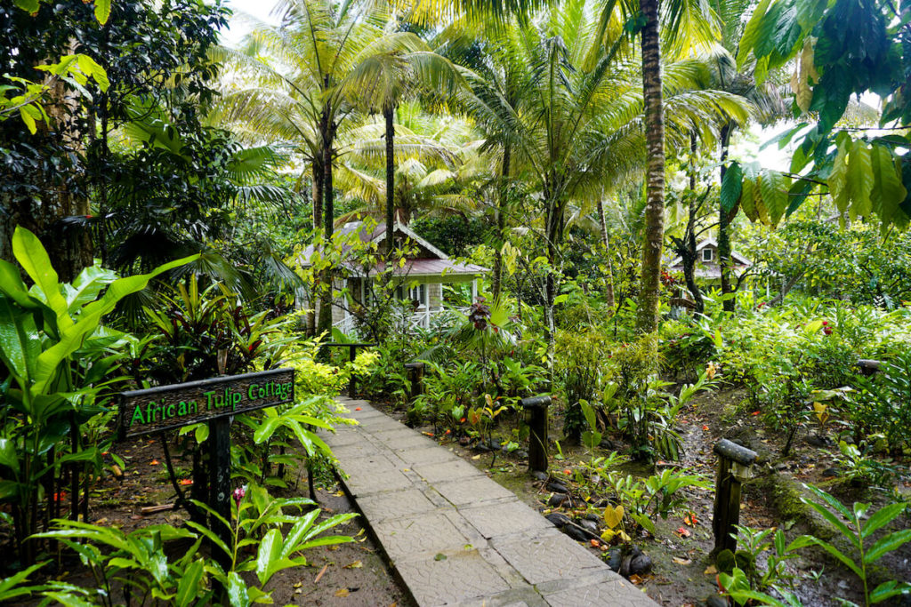 saint-lucia-karibik-highlights-fond-doux-plantation