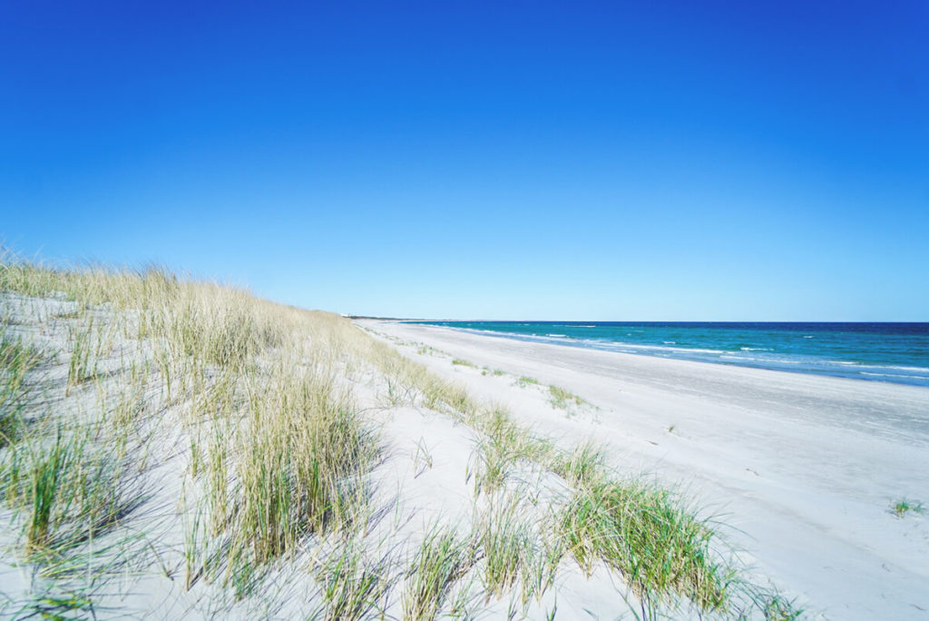 schoenster-Ort-Ostsee-Graal-Mueritz-Rostocker-Heide