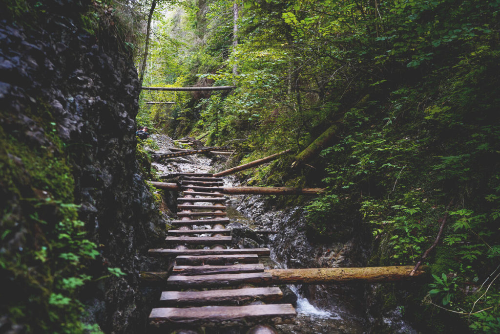 slowakei-rundreise-kleine-fatra-klamm-wanderung (1) (1)