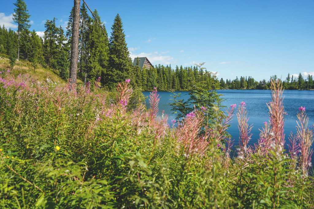 strbske-pleso-slowakei-bergsee-wanderung