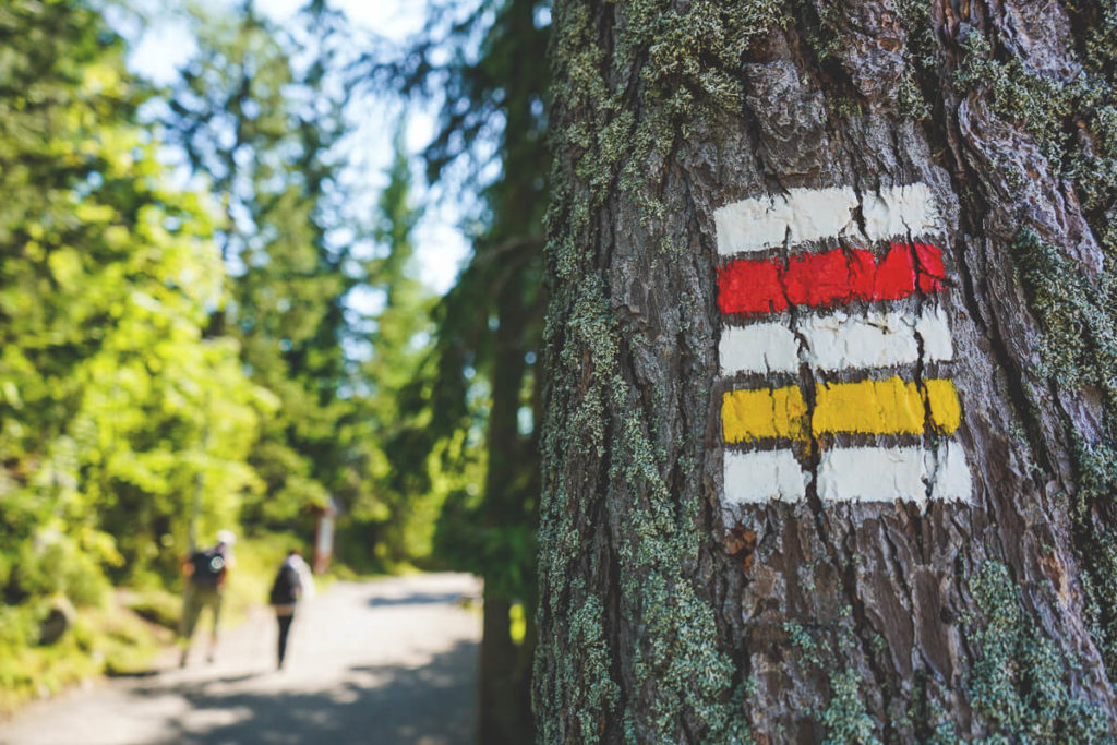 strbske-pleso-slowakei-wanderwege-pfad