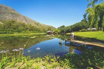 Winelands South Africa