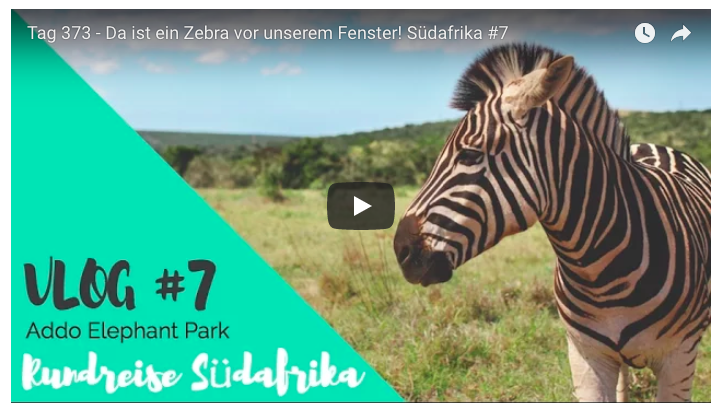 suedafrika-rundreise-addo-elephant-park-youtube-video