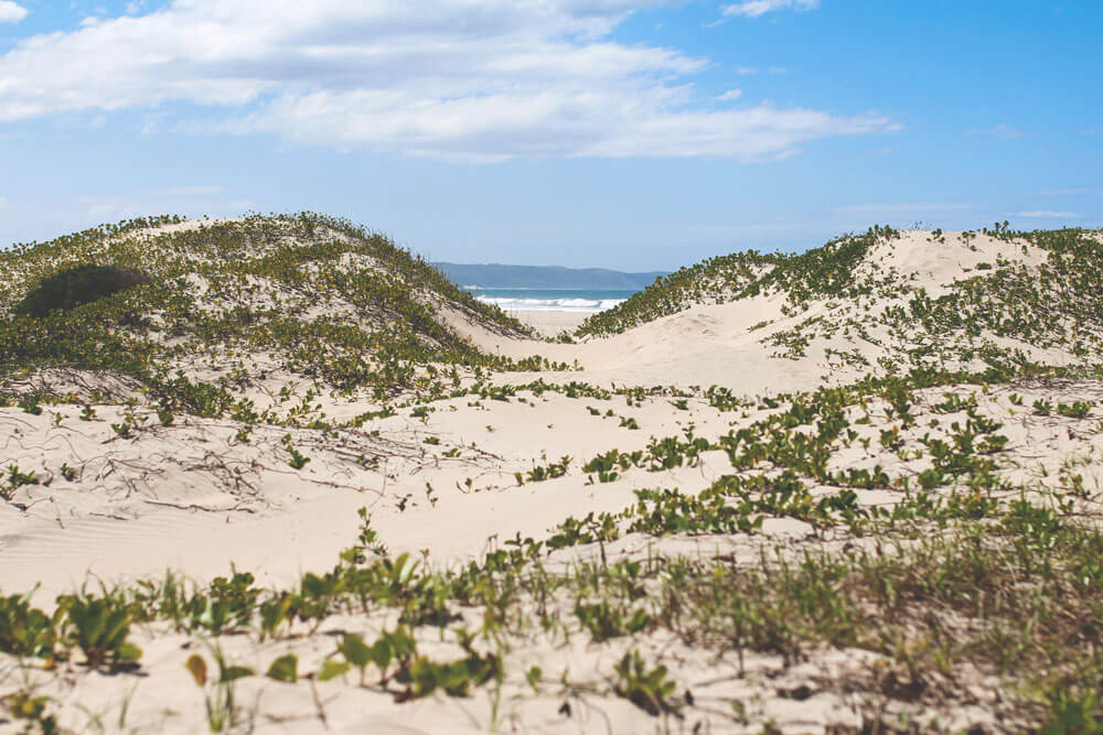 suedafrika-rundreise-chintsa-strand-duenen-reisetipps