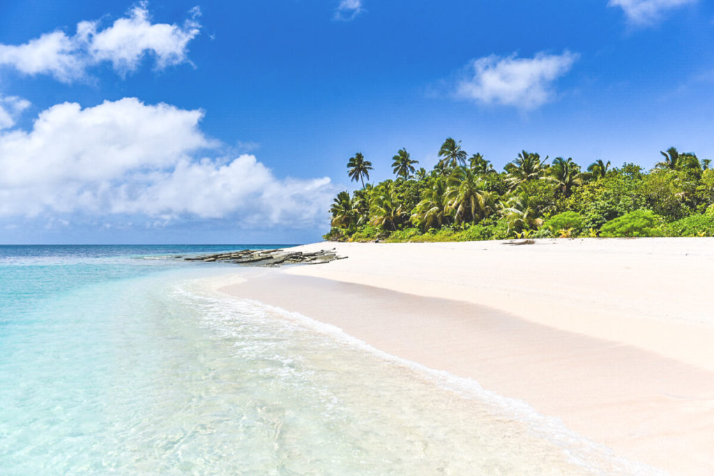 tonga-insel-traumstrand-palmen-meer