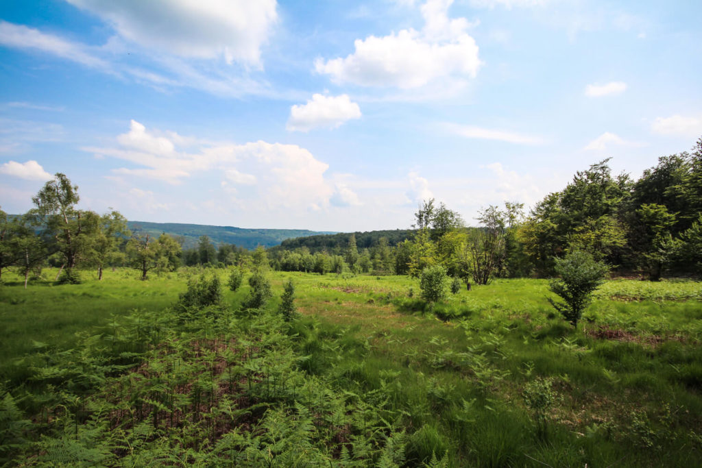 tour-hunsrueck-hochwald-tour-moore
