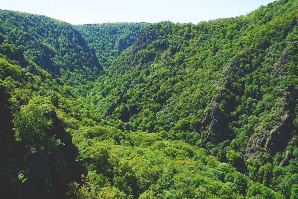 urlaub-im-harz-aussichthexentanzplatz