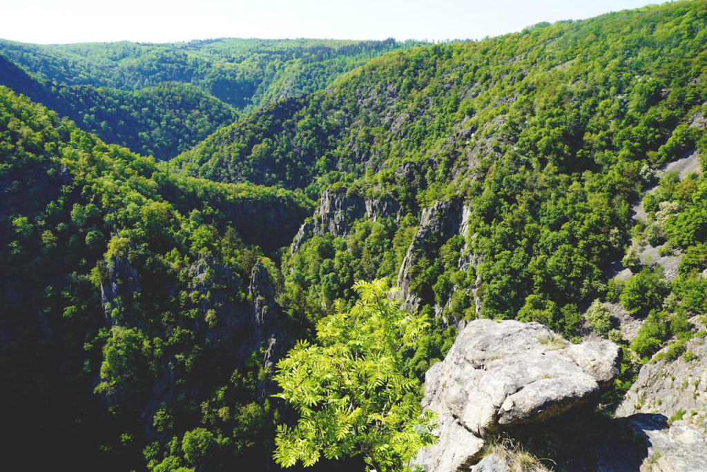 urlaub-im-harz-rosstrappe-aussicht-bodetal