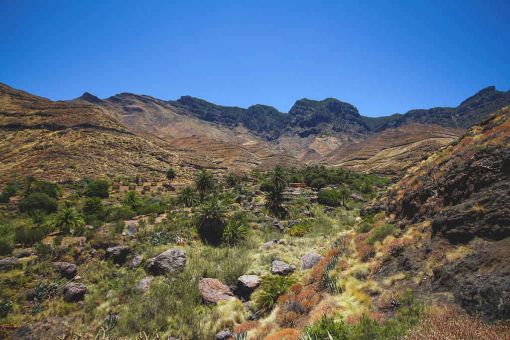 westkueste-gran-canaria-Barranco-De-Guayedra