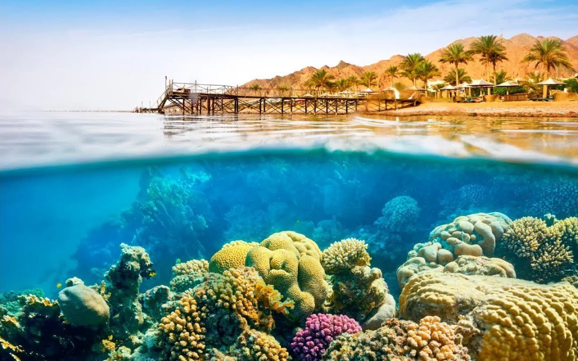 The Red Sea on the map: mysteries, myths and incredible facts