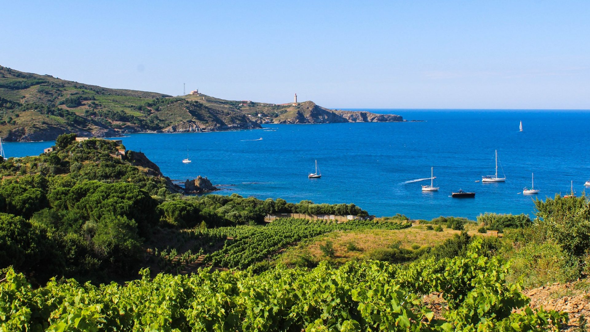 Mediterranean Sea on the map: An amazing world in the heart of the planet
