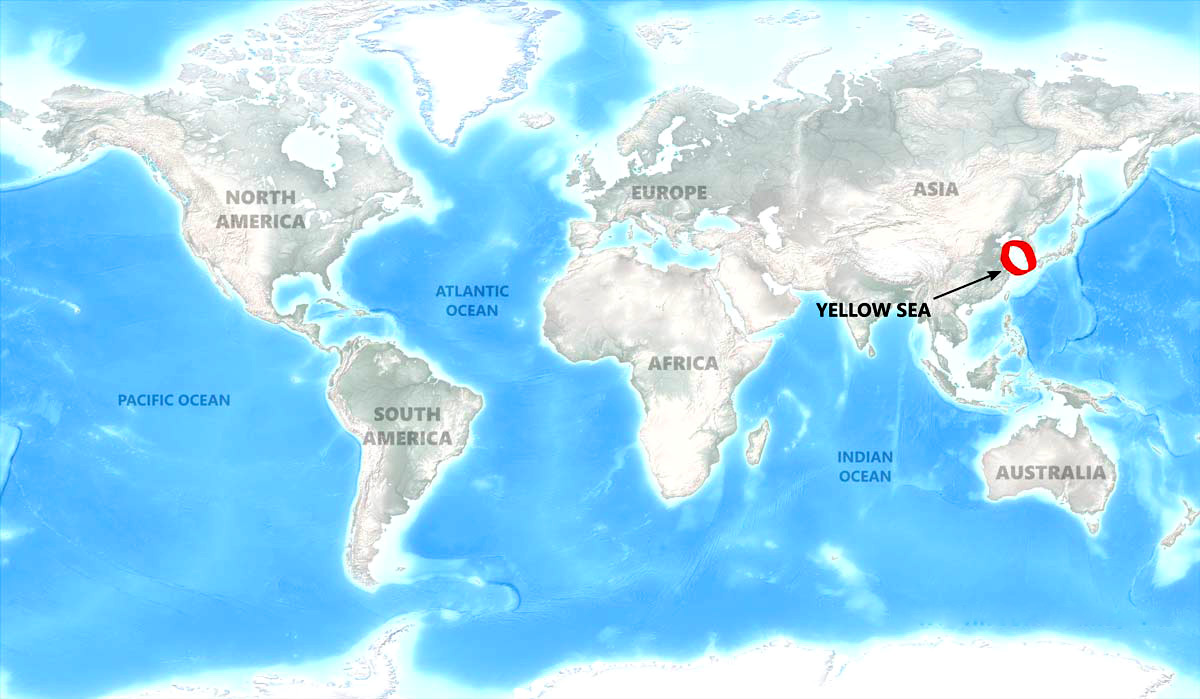 Жовте море на карті: Таємниці однієї з найунікальніших водойм планети